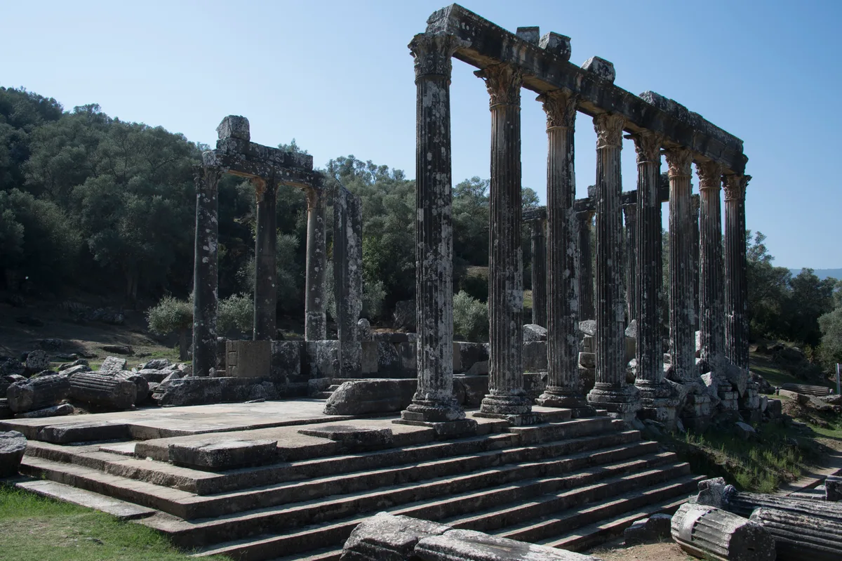 The standing columns of the Temple of Zeus Lepsynos at Euromos